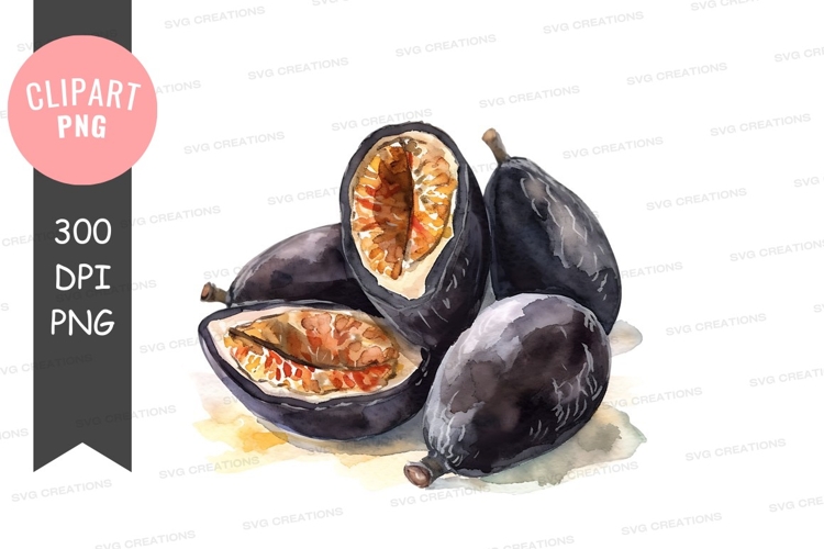 Fruit Illustration Image 12