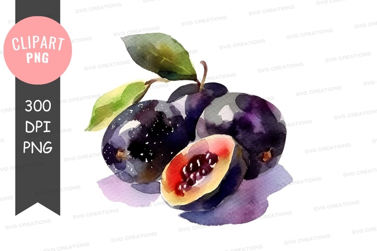 Nature Illustration Image 11