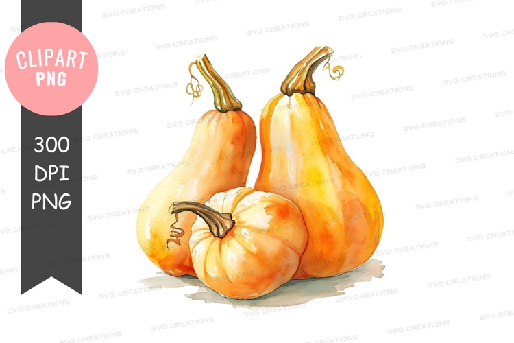 Autumn harvest pumpkins clipart png