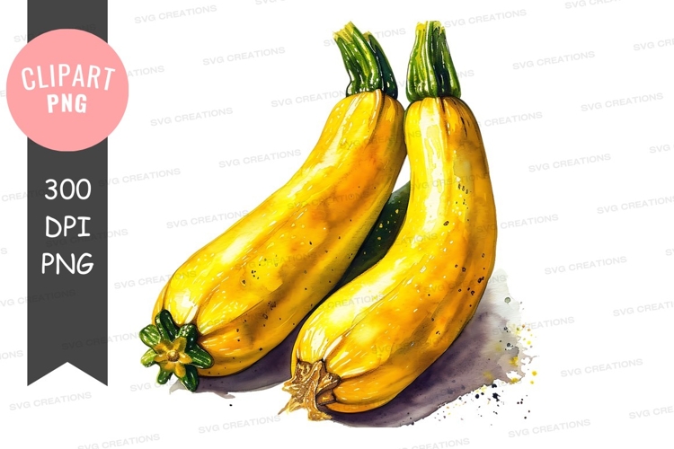 Squash Clipart Image 12