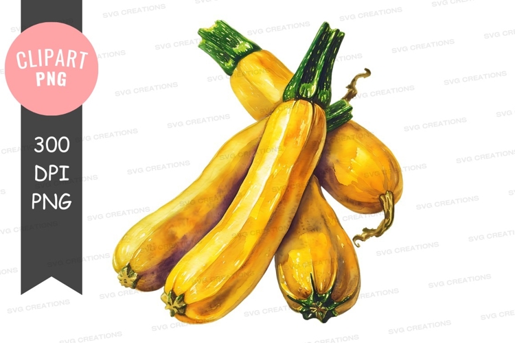 Squash Clipart Image 11