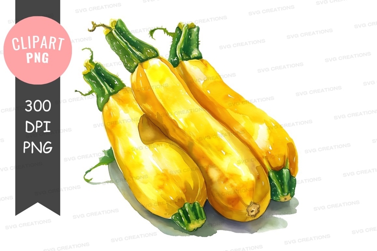 Squash Clipart Image 10