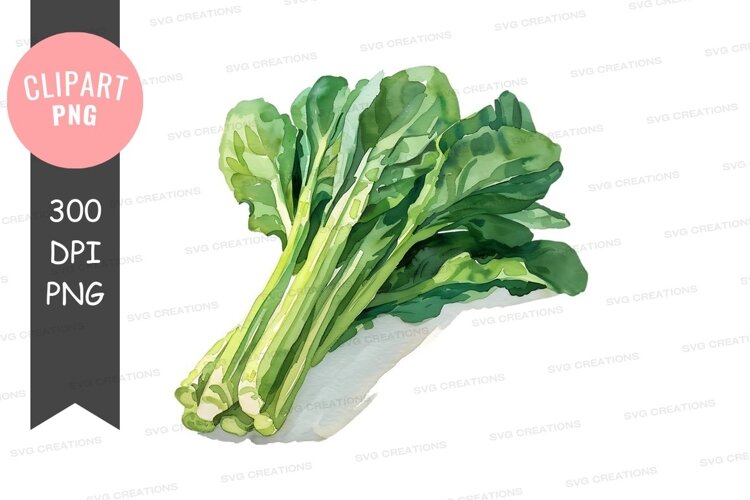Fresh green leafy vegetables example image 1