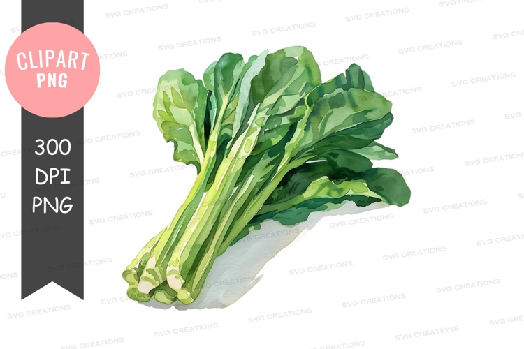 Fresh green leafy vegetables