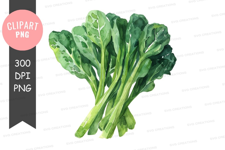 Fresh green leafy vegetables