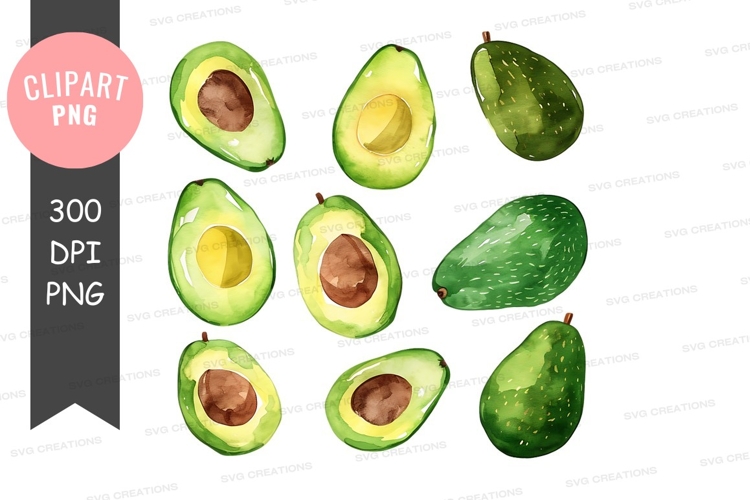 Avocado Illustration Image 2