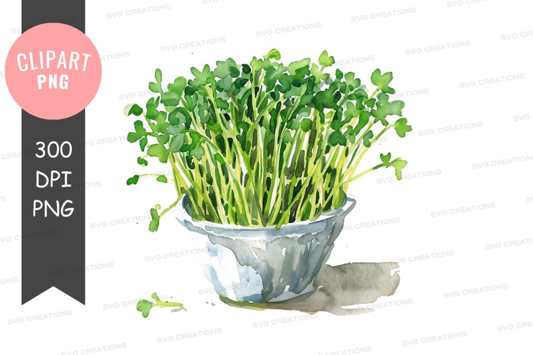 Fresh watercress in a bowl
