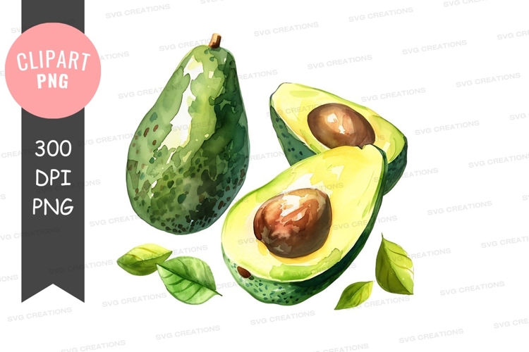 Avocado Illustration Image 12