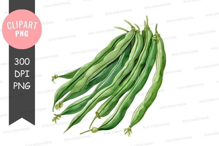 Green Beans Clipart Image 5
