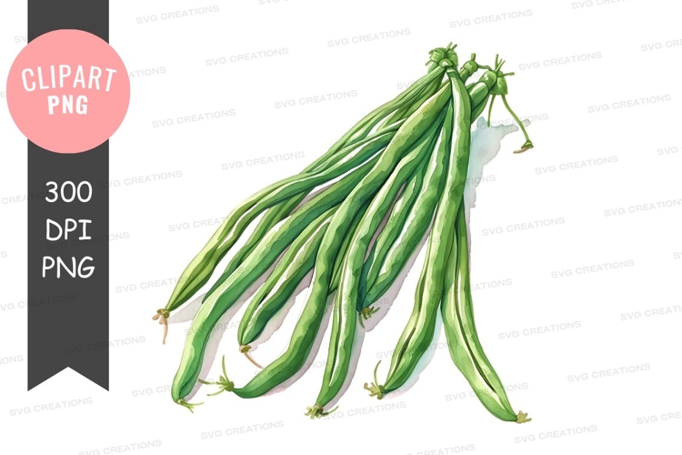 Green Beans Clipart Image 4
