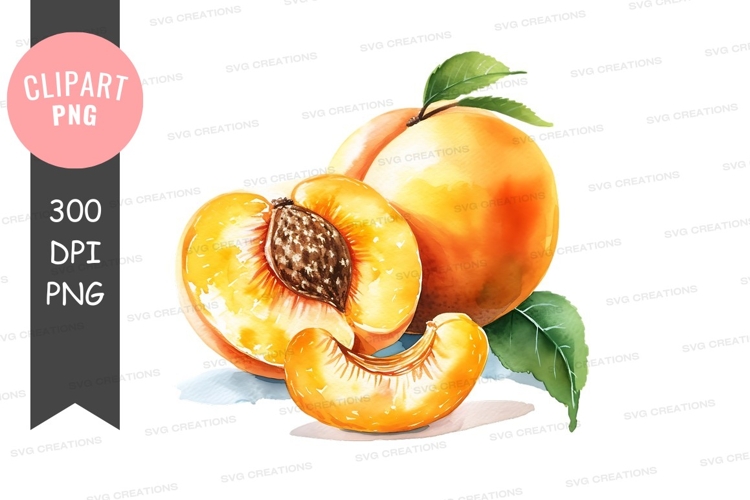 Seed Clipart Image 2