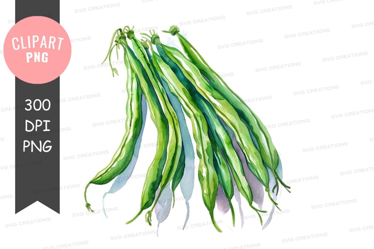Green Beans Clipart Image 2