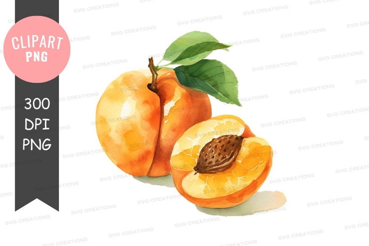 Watercolor apricot clipart png