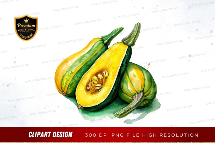 Squash Clipart