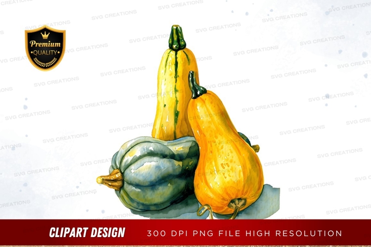 Squash Clipart Image 17