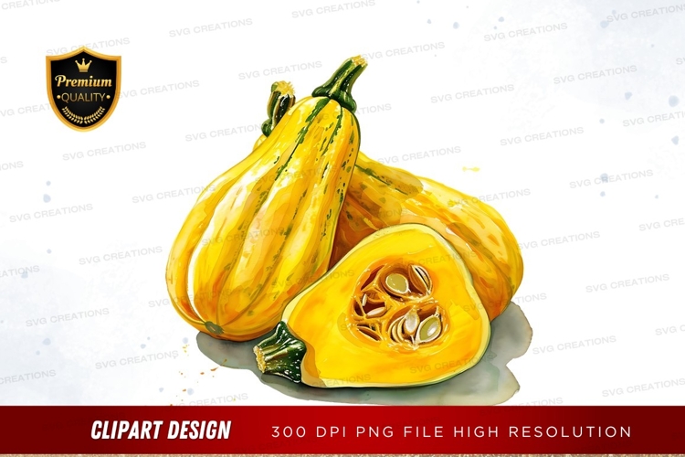 Squash Clipart Image 24