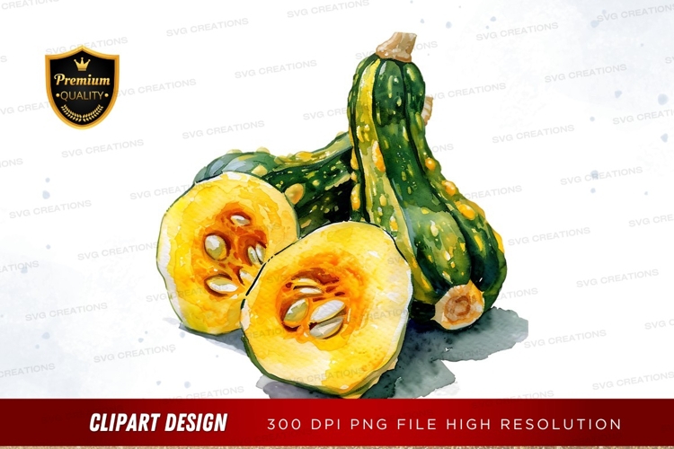 Freshly cut squash clipart png