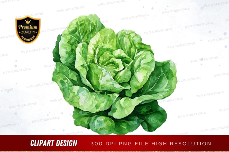 Vegetables PNG Image 2