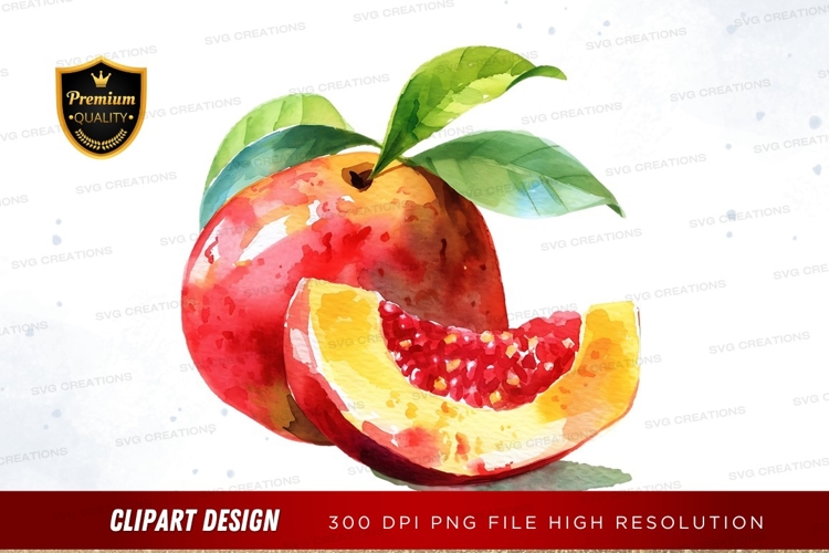 Pomegranate Illustration Image 8