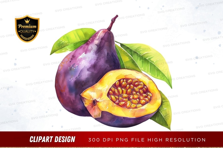Fruit Illustration Image 10