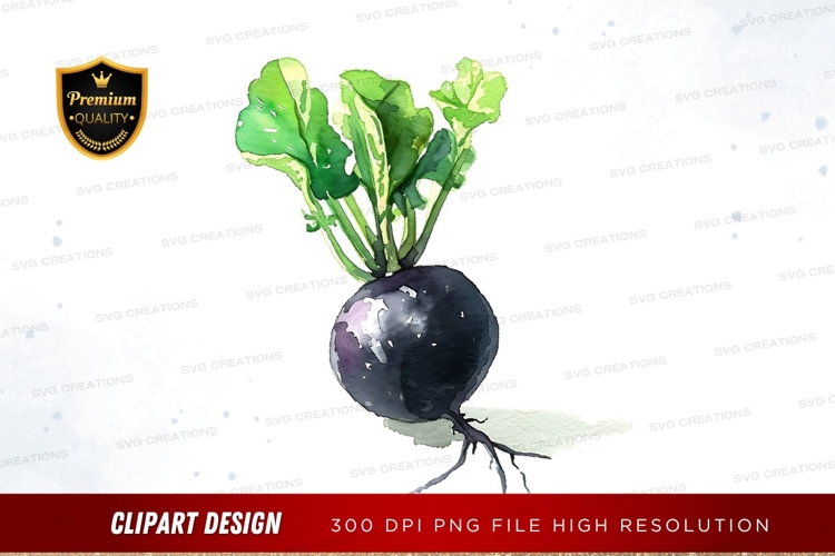 Vegetable Illustration Image 7