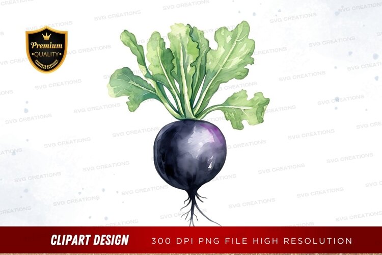 Watercolor illustration of a beetroot example image 1