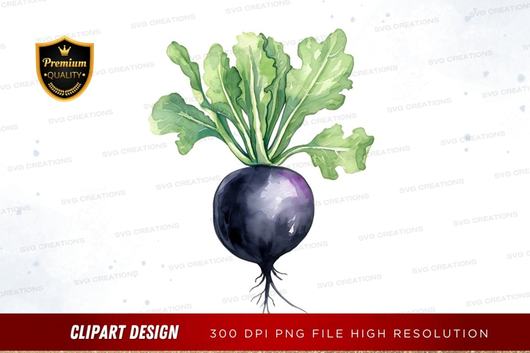 Watercolor illustration of a beetroot