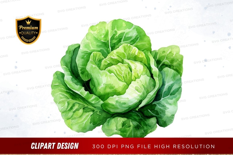 Vegetables PNG Image 23