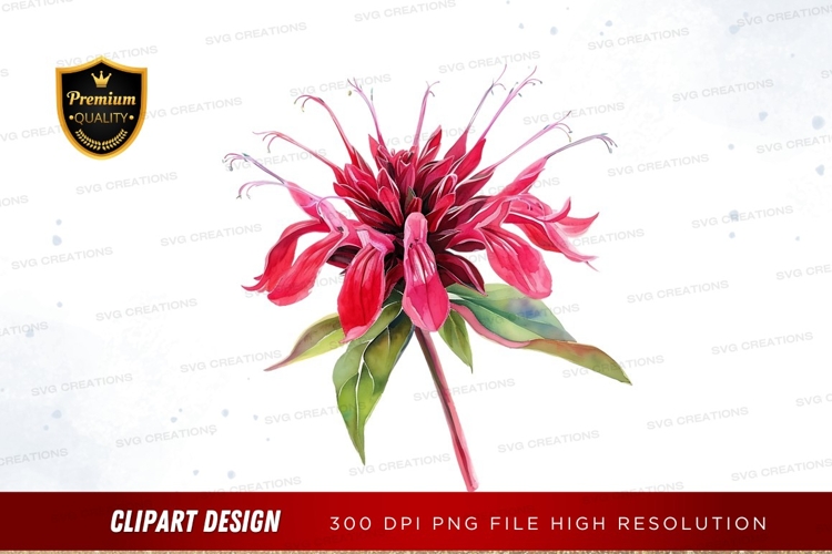 Red Flower Clipart Image 19