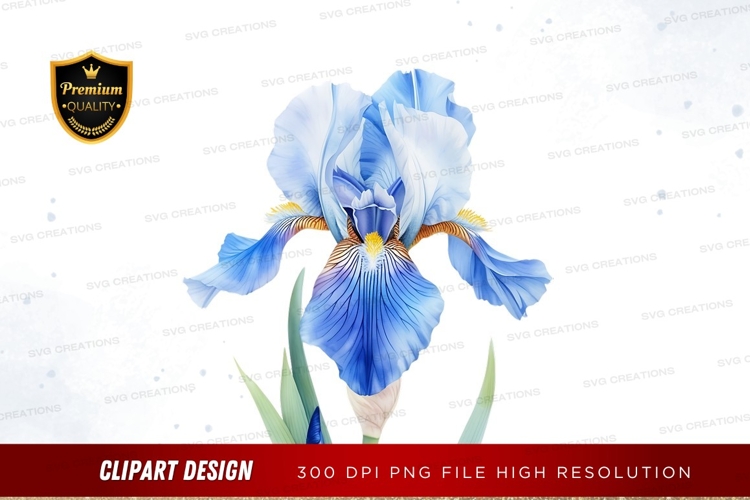 Blue iris flower clipart png