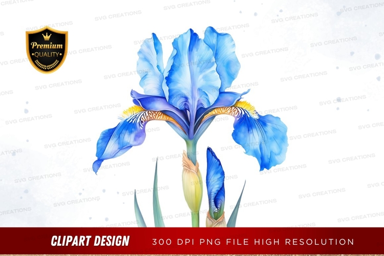 Iris Clipart Image 20