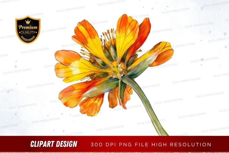 Nature Illustration Image 20