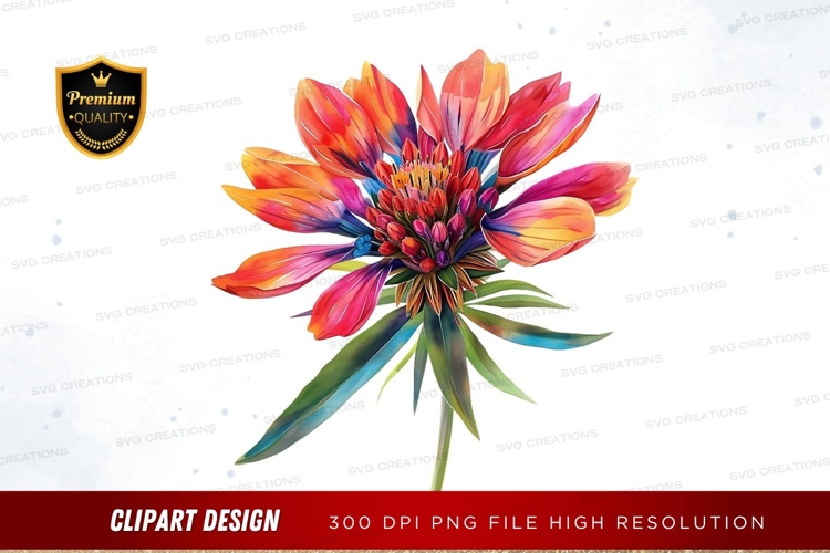 Vibrant flower clipart png