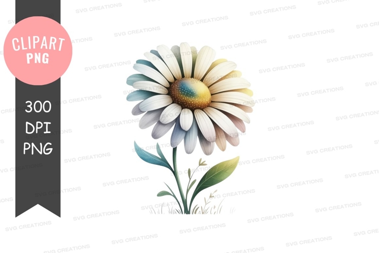Daisy Flower Clipart