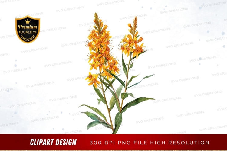 Bright yellow wildflowers clipart png