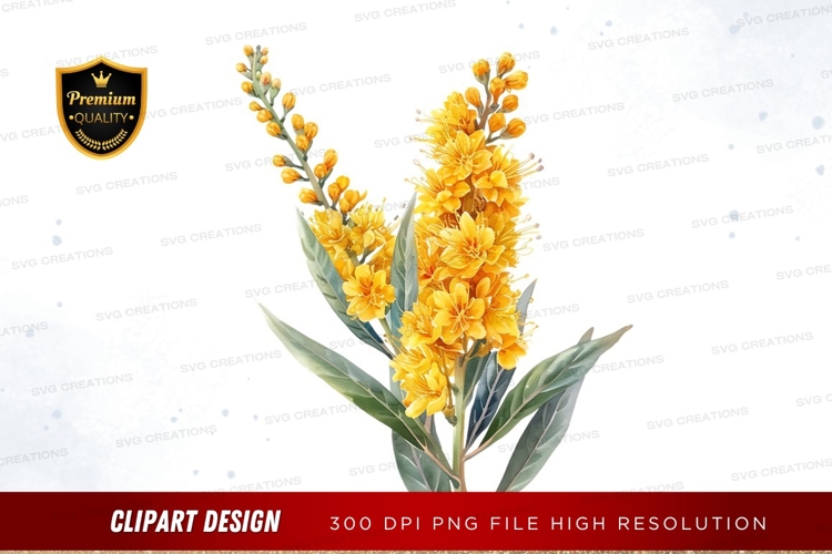 Yellow Clipart Image 24