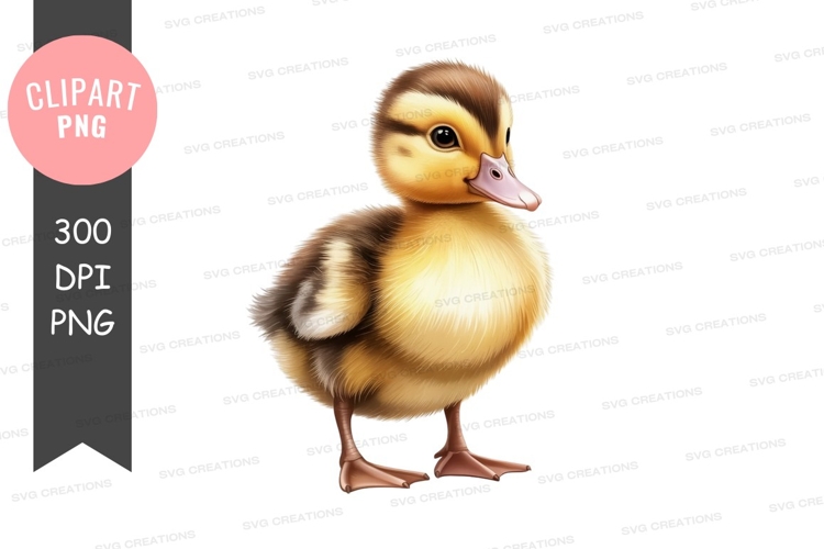 Body Clipart Image 5