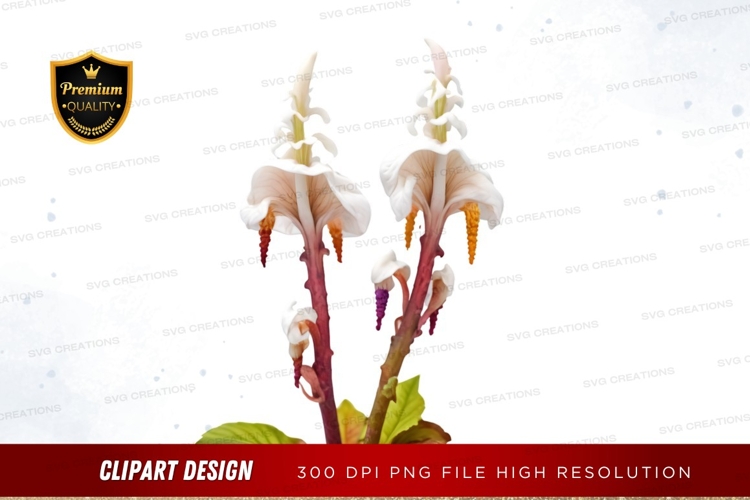 Aircraft Clipart Image 13