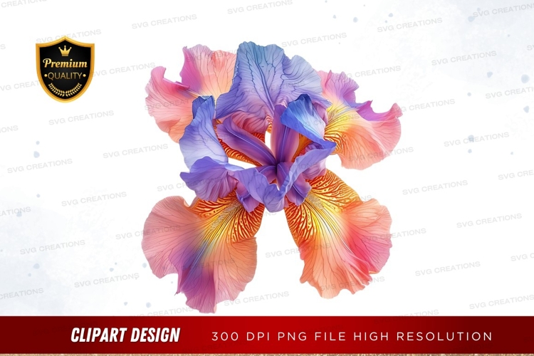 Iris Clipart Image 20