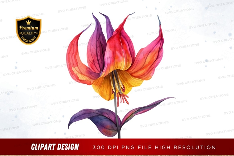 Vibrant flower clipart png