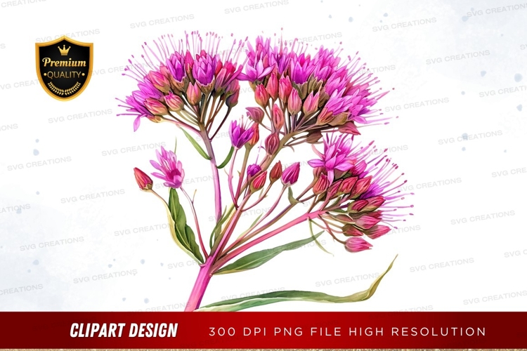 Vibrant pink flowers clipart png