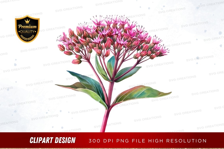 Pink Flower Png Image 7