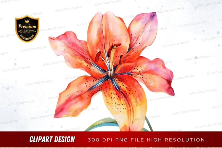 Vibrant orange lily