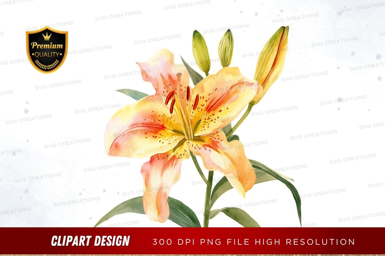 Delicate watercolor lily