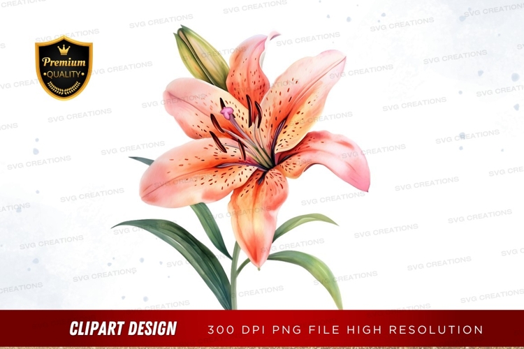 Orange Flower Png Image 7