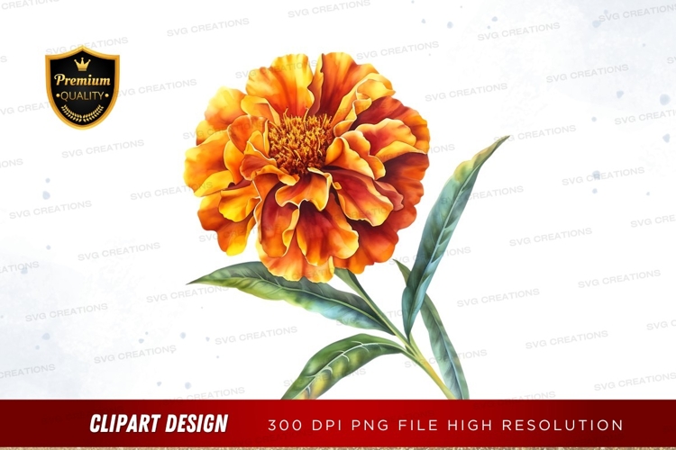 Marigold Clipart Image 4