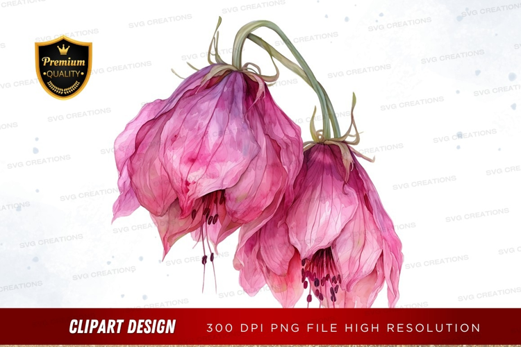 Wilted pink flowers
