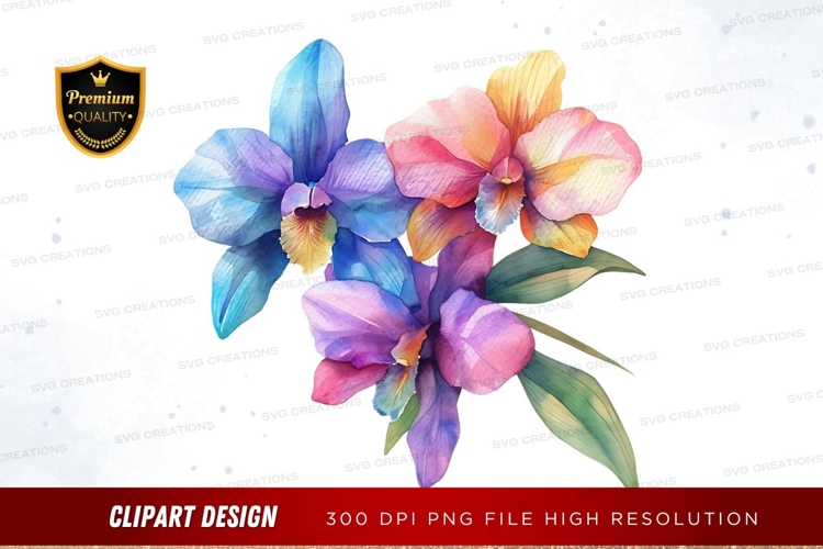 Orchids Png