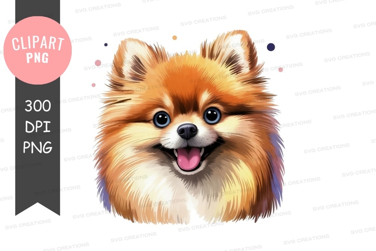 Happy pomeranian puppy