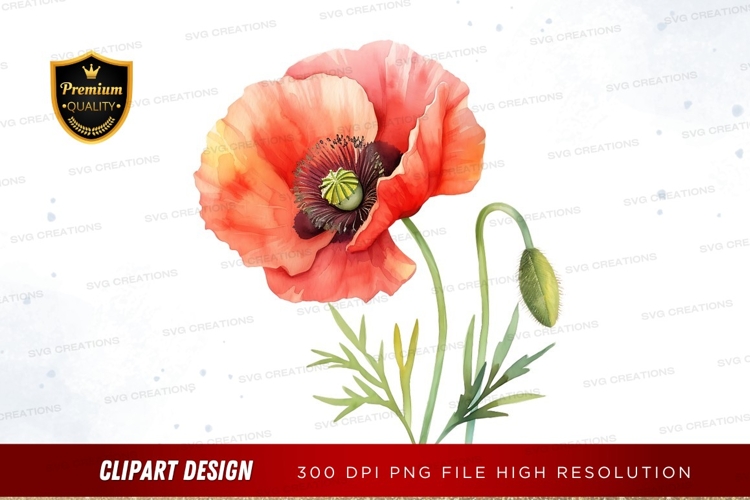 Vibrant poppy flower clipart png